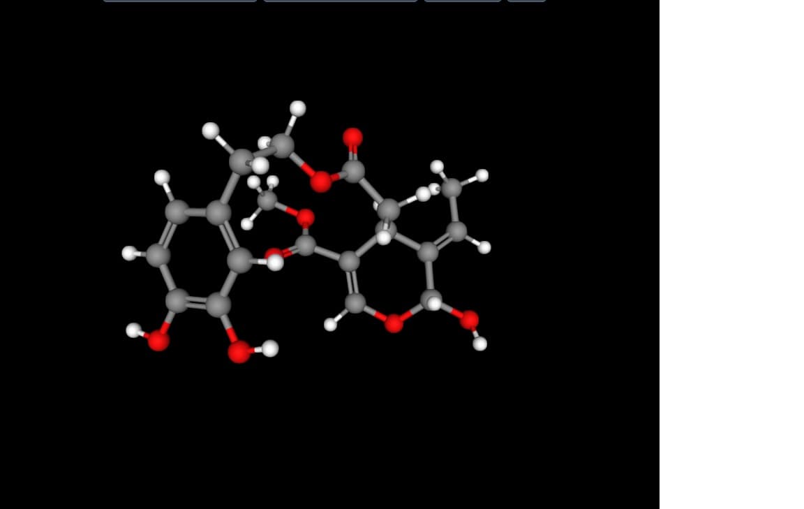 How Bioavailability Highlights Supplement Quality 2