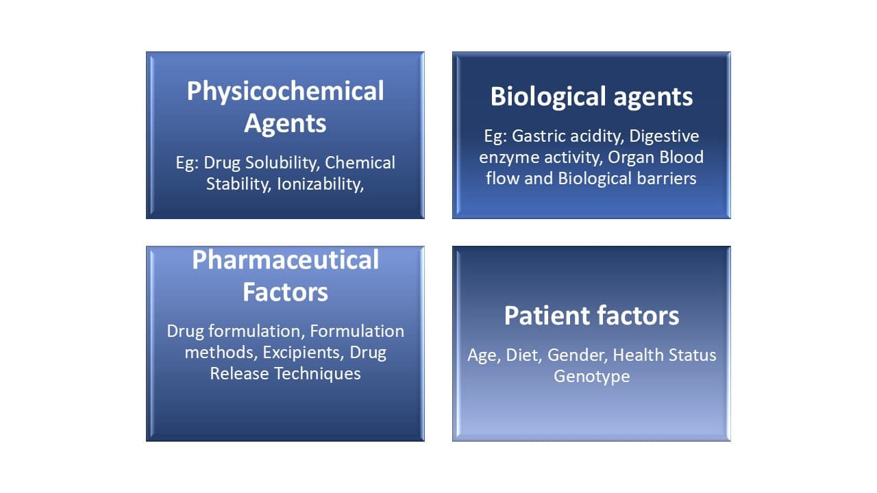 How Bioavailability Highlights Supplement Quality 1